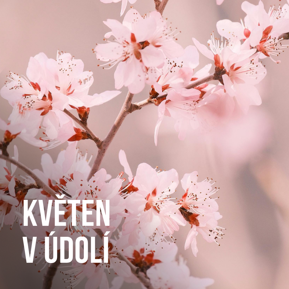Akce v údolí